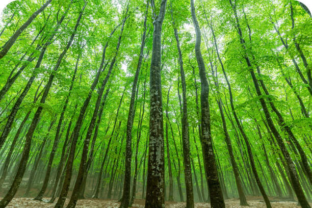 品質方針/環境方針