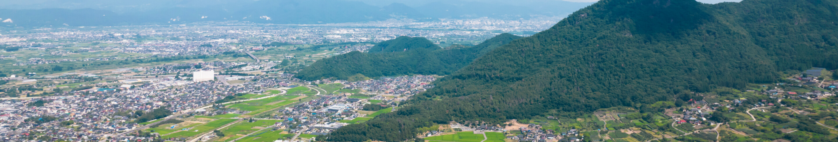 H1タイトル背景